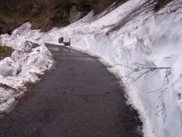 mortirolo (5)